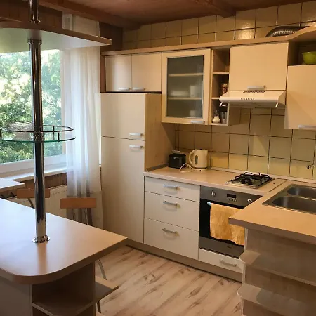 Gintaro Namai Apartment Palanga